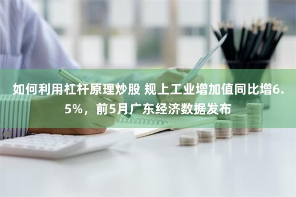 如何利用杠杆原理炒股 规上工业增加值同比增6.5%，前5月广东经济数据发布