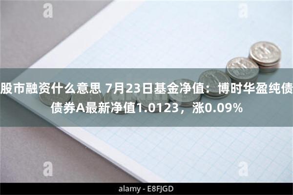 股市融资什么意思 7月23日基金净值：博时华盈纯债债券A最新净值1.0123，涨0.09%