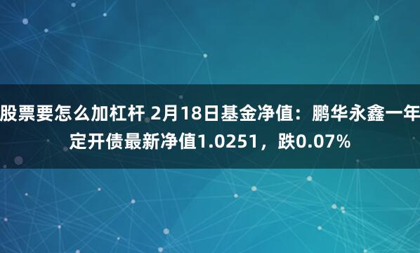 股票要怎么加杠杆 2月18日基金净值：鹏华永鑫一年定开债最新净值1.0251，跌0.07%