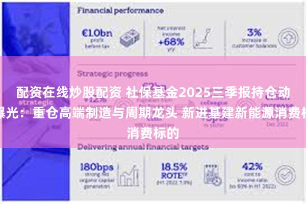 配资在线炒股配资 社保基金2025三季报持仓动向曝光：重仓高端制造与周期龙头 新进基建新能源消费标的
